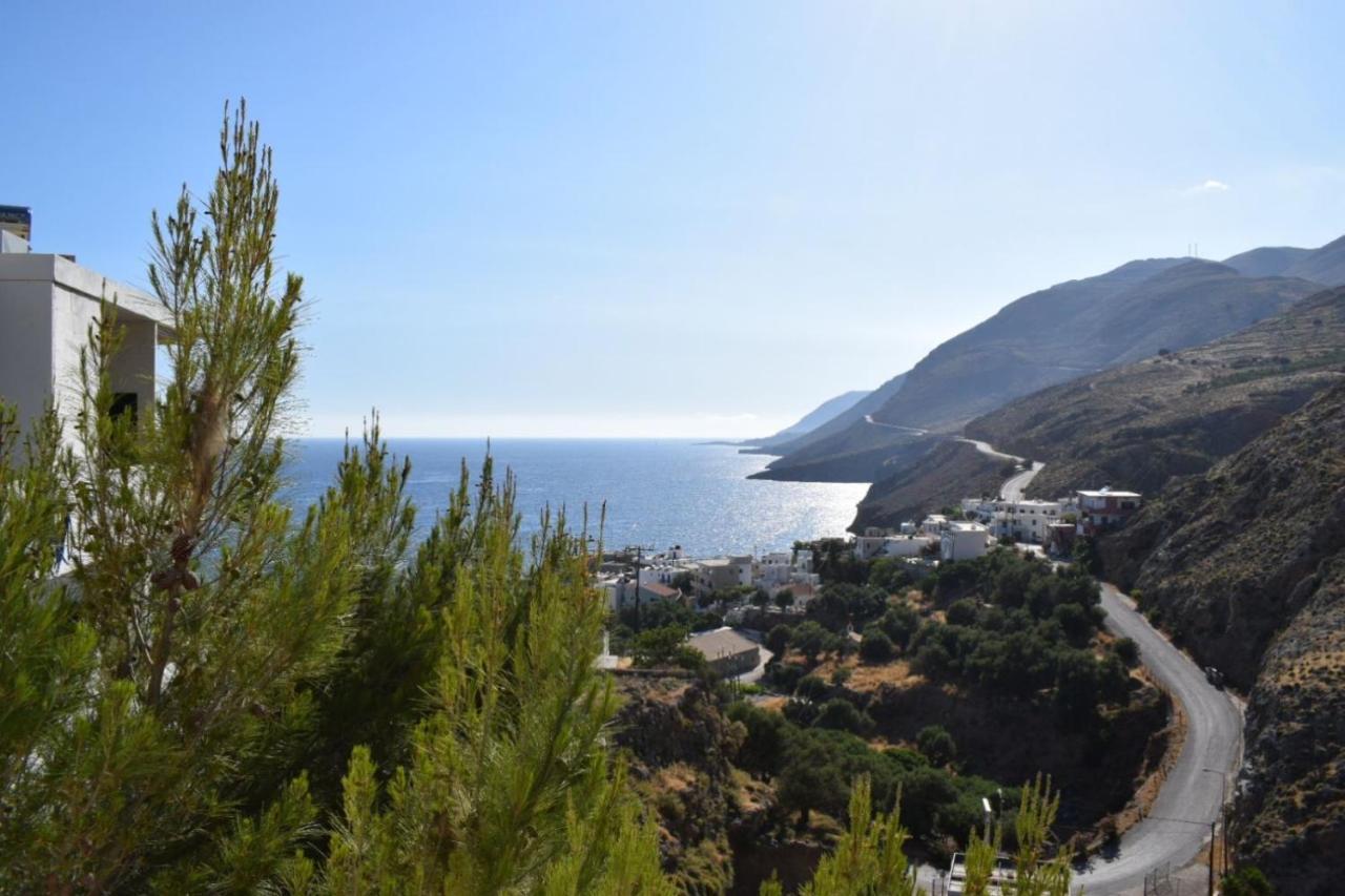 Mesohori Studios Sfakia Bagian luar foto